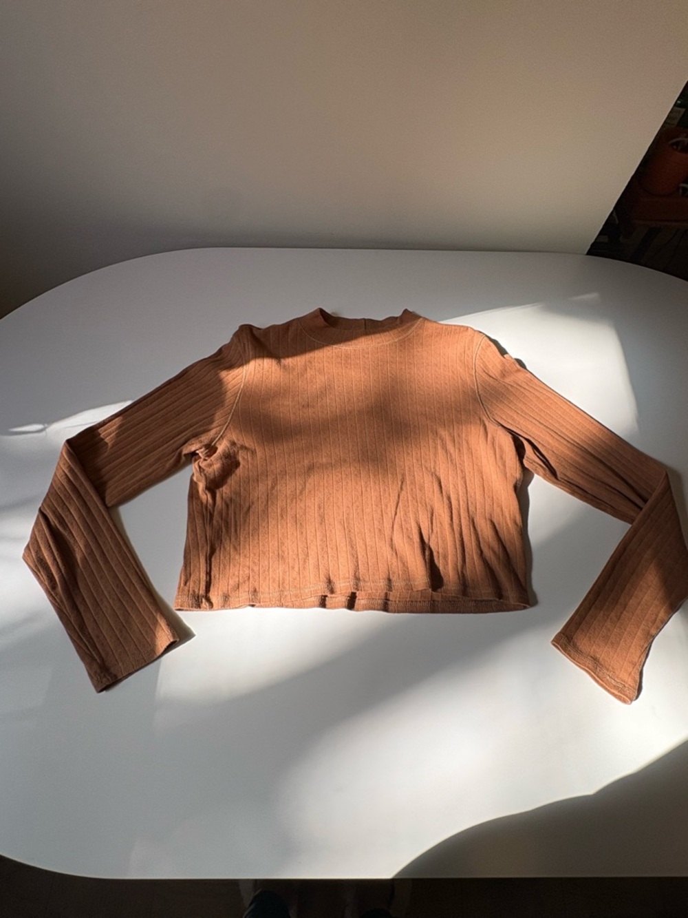 AE Cropped Turtleneck